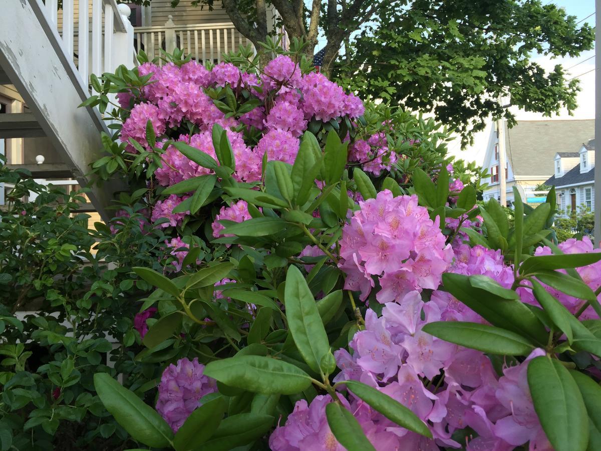 Watership Inn Provincetown Bagian luar foto